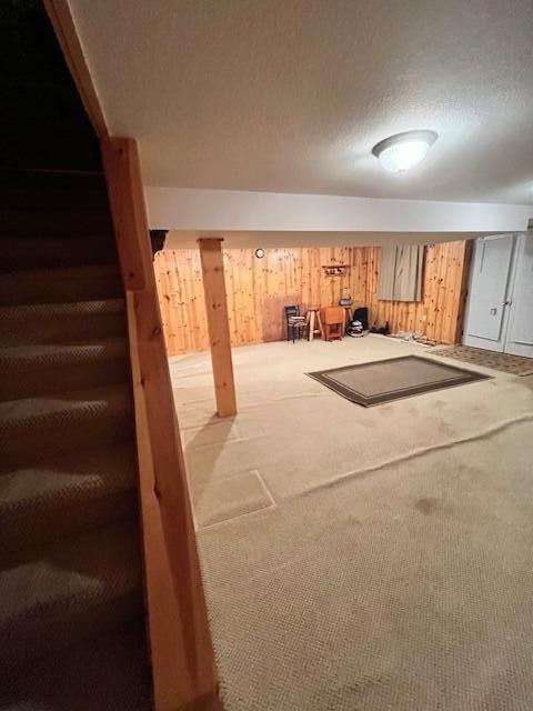 basement with a textured ceiling and carpet flooring