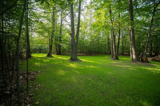 Listing photo 2 for Emerald Ridge Trl Unit 3, Onekama MI 49675