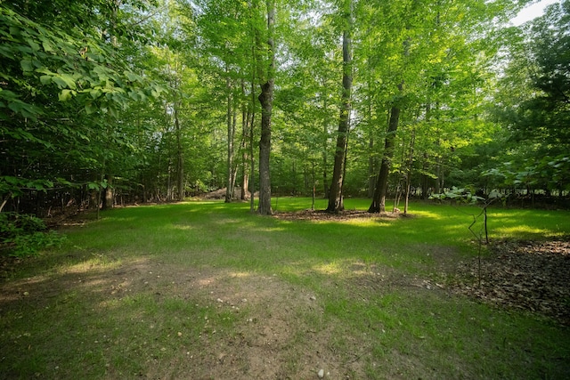 Listing photo 2 for Emerald Ridge Trl Unit 4 & 5, Onekama MI 49675