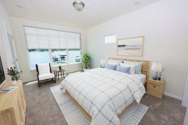 bedroom with dark carpet