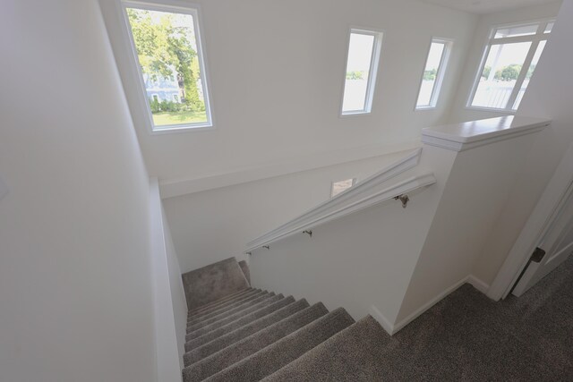 staircase with plenty of natural light and carpet flooring