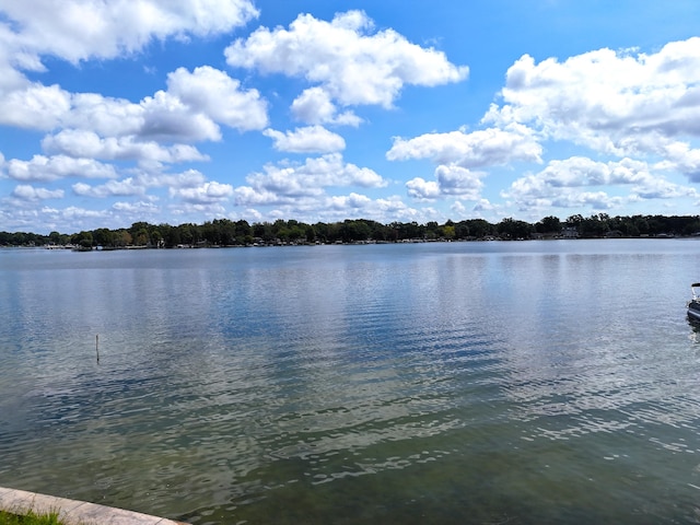 view of water feature