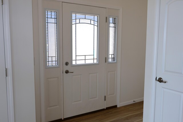 foyer entrance with hardwood / wood-style floors and a wealth of natural light