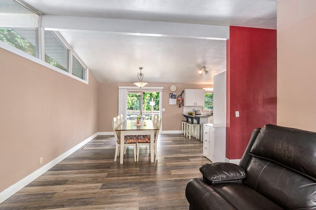 dining room with dark hardwood / wood-style flooring