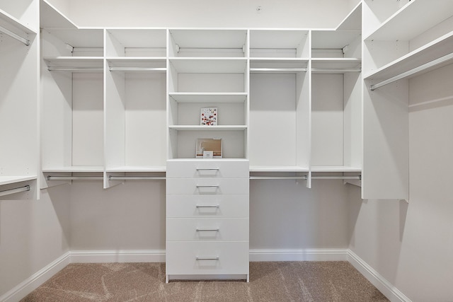 walk in closet featuring carpet flooring