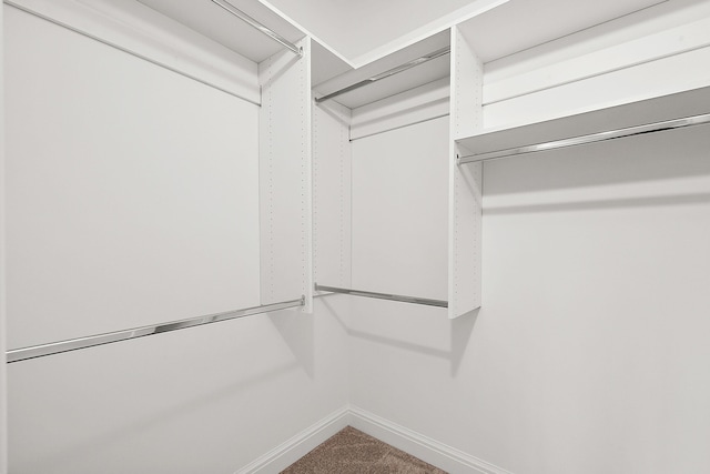 walk in closet featuring carpet