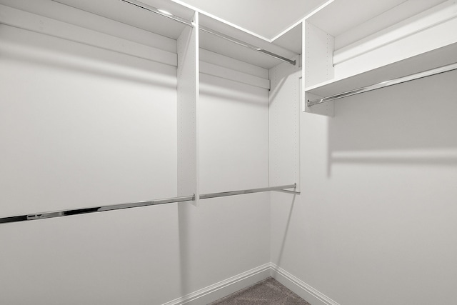 walk in closet with carpet