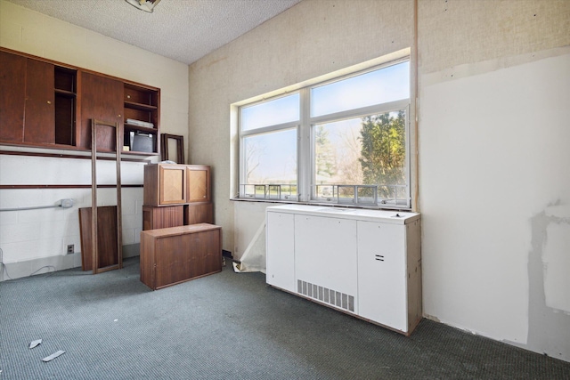 interior space featuring a textured ceiling and carpet flooring