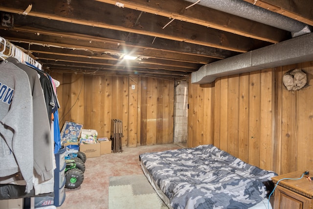 basement with wooden walls