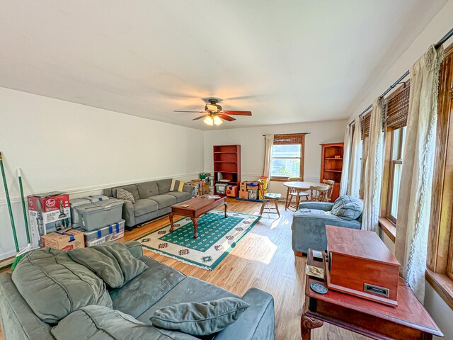 living room with ceiling fan and light wood-type flooring