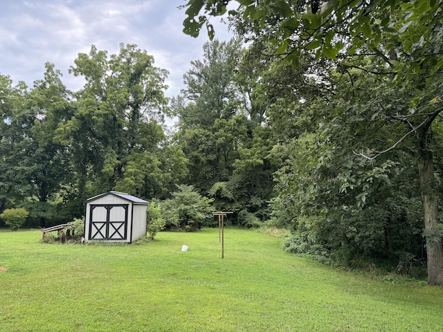 view of yard with a storage shed