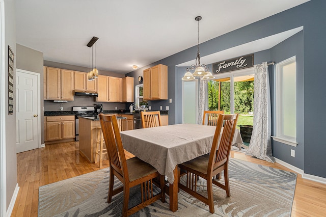 dining room featuring light hardwood / wood-style floors