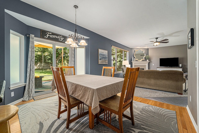 dining room with light hardwood / wood-style floors and ceiling fan with notable chandelier