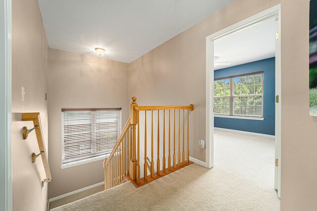 stairway with carpet