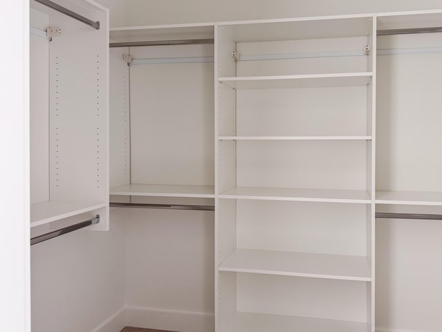 view of spacious closet