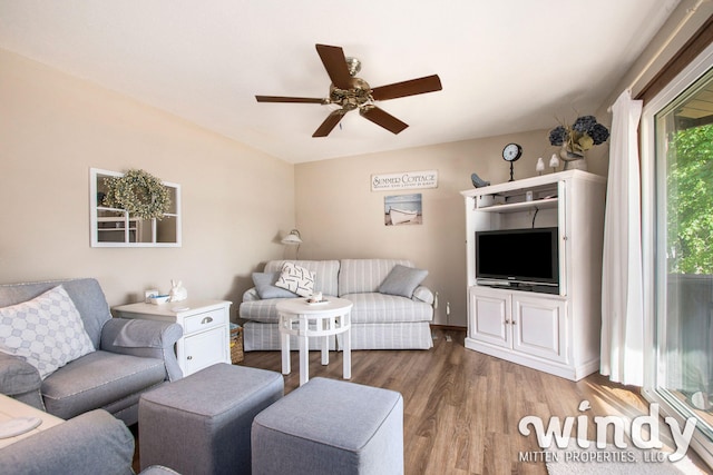 living room with ceiling fan and wood-type flooring