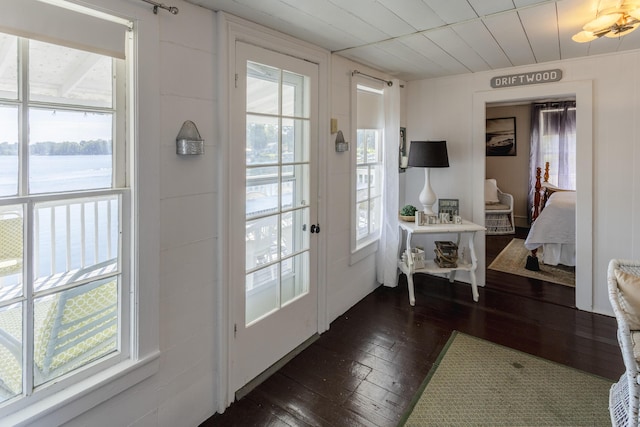 entryway featuring dark wood finished floors and plenty of natural light