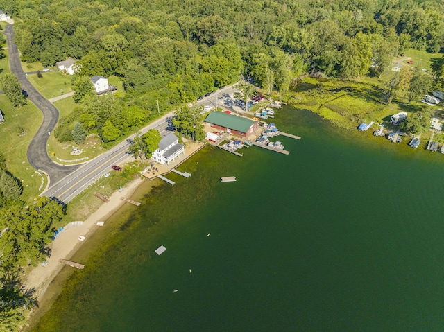 birds eye view of property featuring a wooded view and a water view