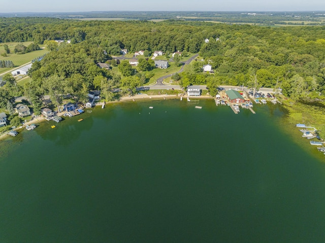 aerial view featuring a water view and a wooded view