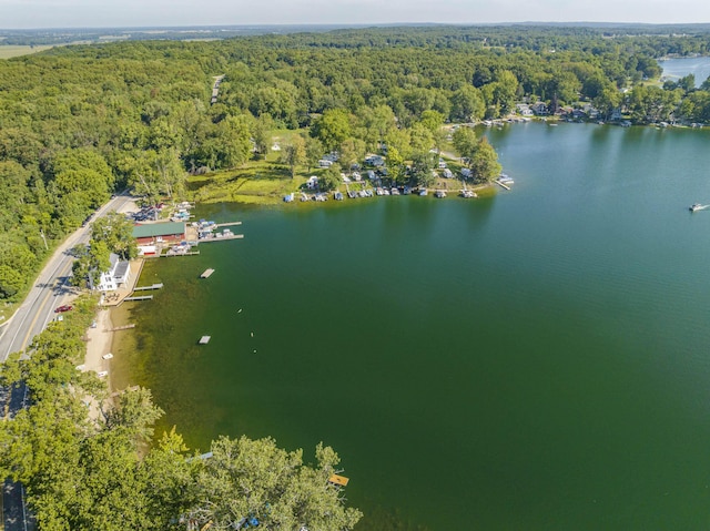 birds eye view of property with a forest view and a water view