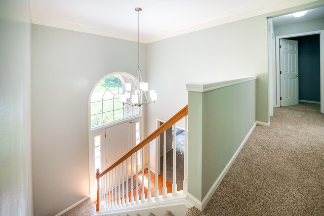 stairway featuring crown molding, carpet flooring, and an inviting chandelier