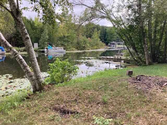 9464 W School Section Lake Dr, Mecosta, MI 49332
