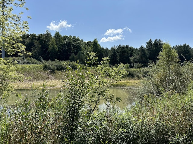 view of local wilderness with a water view