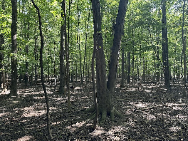 view of nature featuring a wooded view