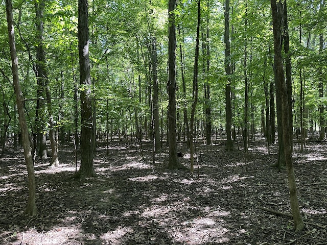 view of landscape featuring a wooded view