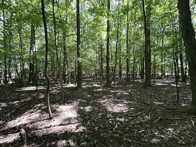 view of nature with a view of trees