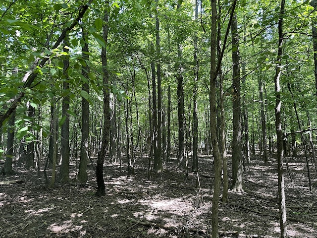 view of nature featuring a forest view