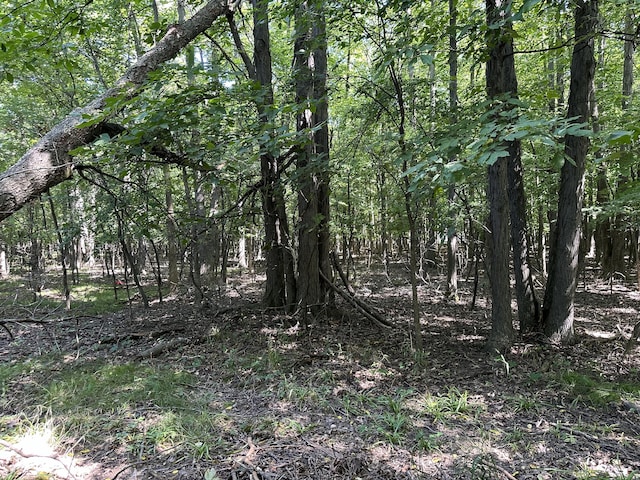 view of landscape with a wooded view