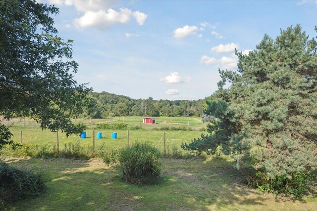 view of yard featuring a rural view