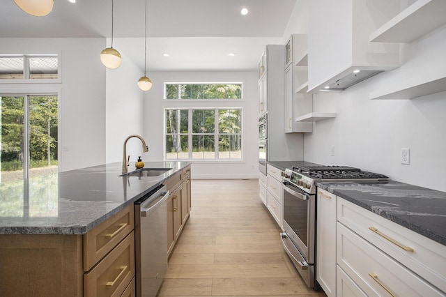 kitchen with premium range hood, a sink, plenty of natural light, light wood-style floors, and appliances with stainless steel finishes