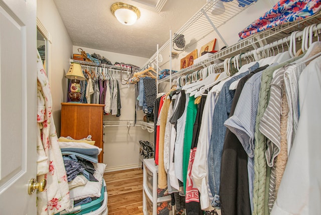 walk in closet with wood-type flooring