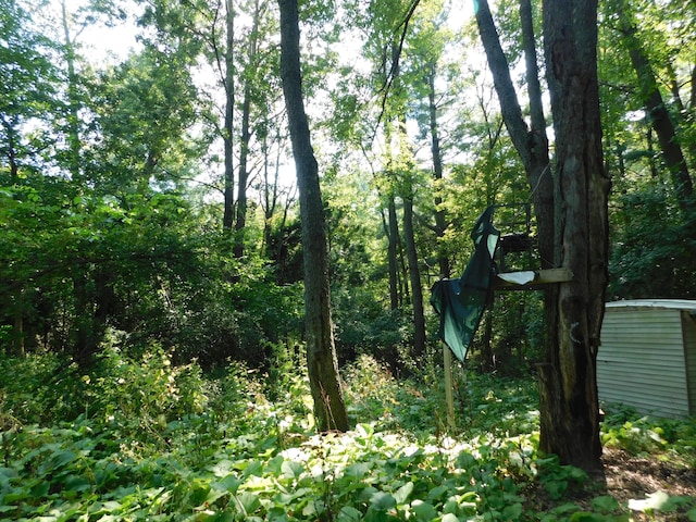 view of nature featuring a wooded view