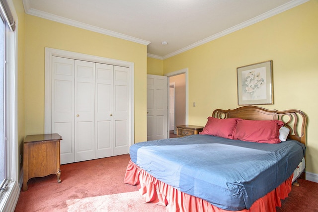 bedroom with carpet floors, a closet, and crown molding