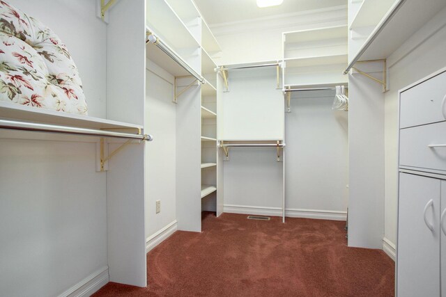 spacious closet with carpet floors