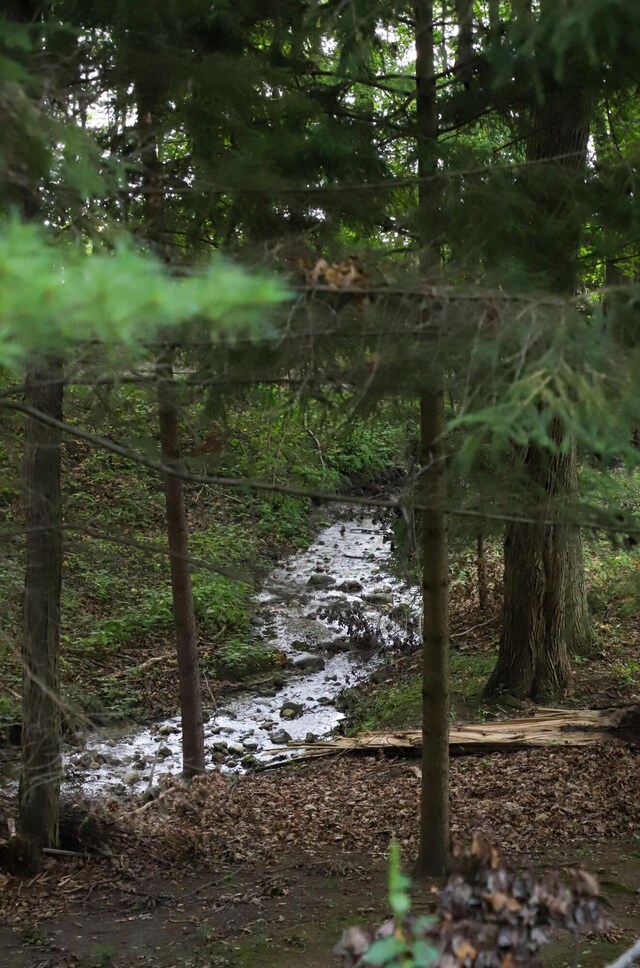 view of local wilderness