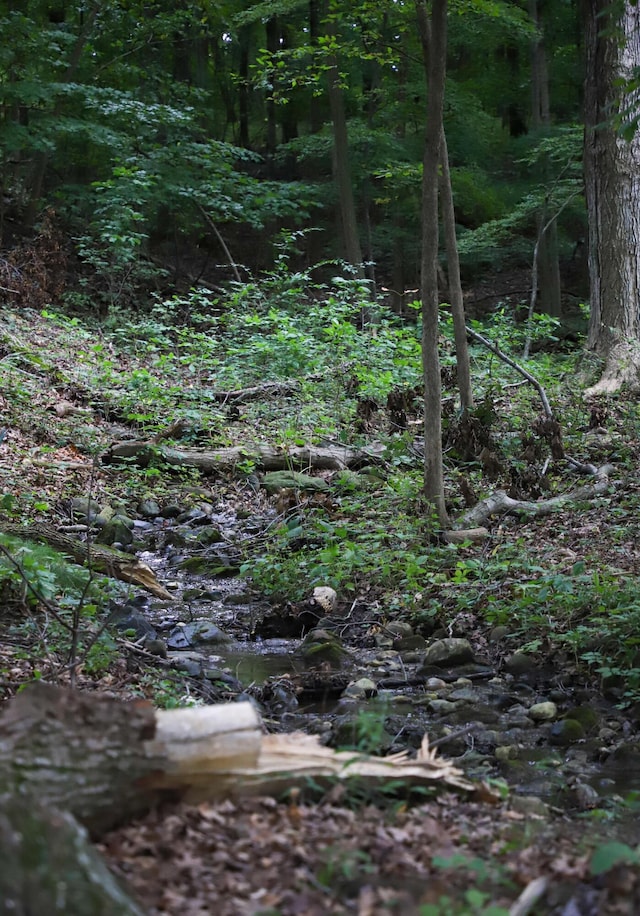 view of nature featuring a forest view