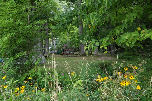 view of landscape