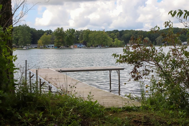 dock area with a water view