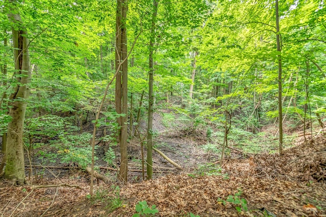 view of nature featuring a forest view