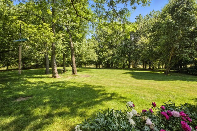 6710 Curtis Rd, Plymouth, MI 48170 - view of green lawn