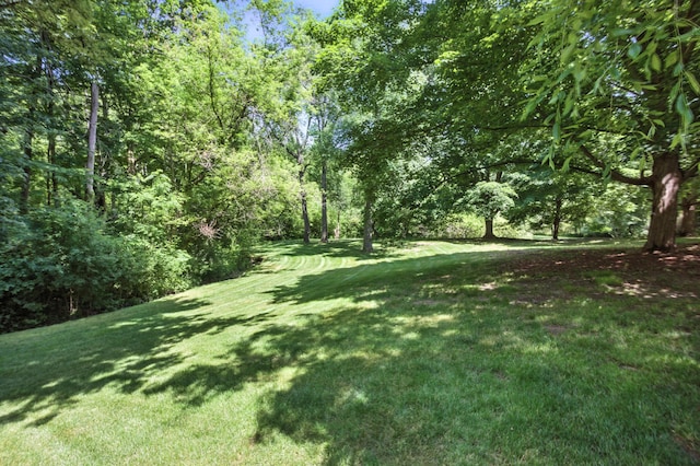 6710 Curtis Rd, Plymouth, MI 48170 - view of green lawn featuring a wooded view