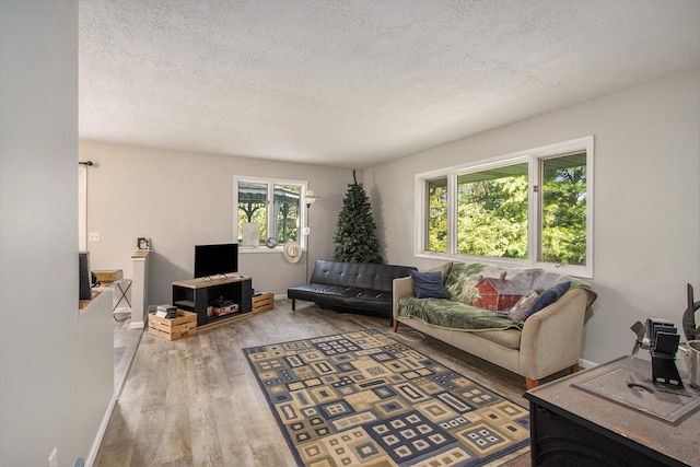 living room featuring plenty of natural light, a textured ceiling, and hardwood / wood-style floors