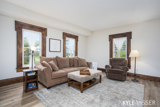 living area with plenty of natural light, baseboards, and wood finished floors