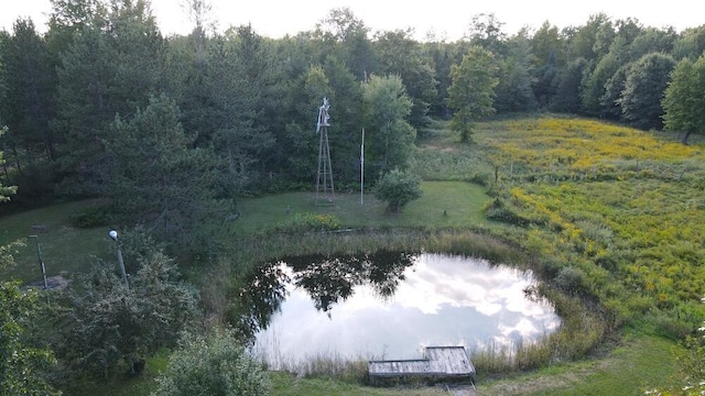 drone / aerial view with a forest view