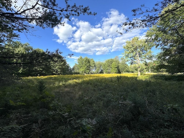 view of nature with a forest view