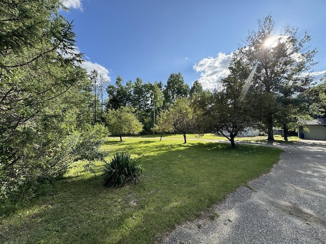 view of yard featuring driveway